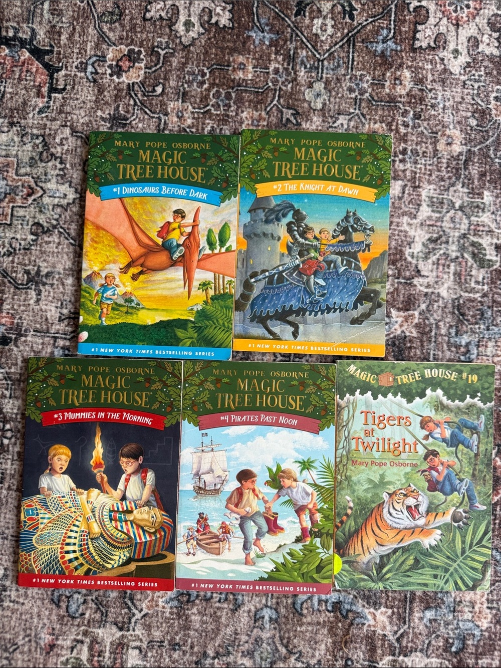 Magic Tree House Books (1-4, 19) Colorful Illustrated Children's Paperbacks used